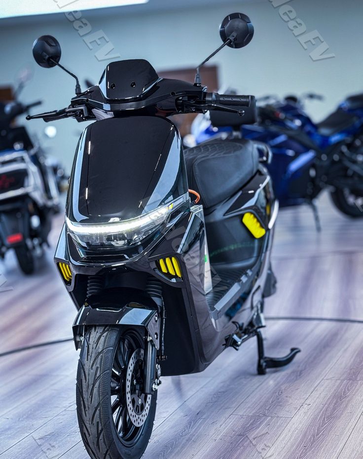 Electric Fleet